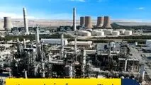 رشد ۴۱ درصدی درآمد فروش محصولات شیران در ۶ ماهه سال مالی ۱۴۰۴