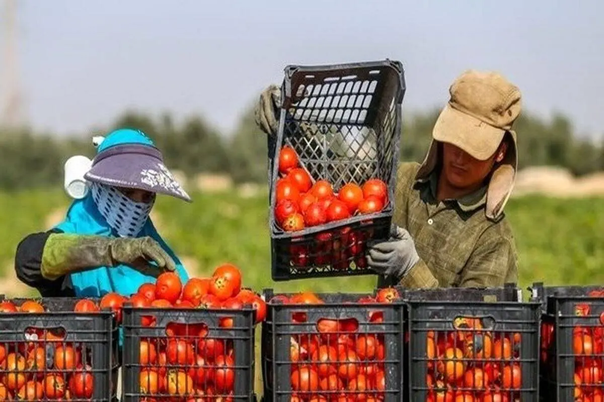 تحریم داخلی در کمین صادرات