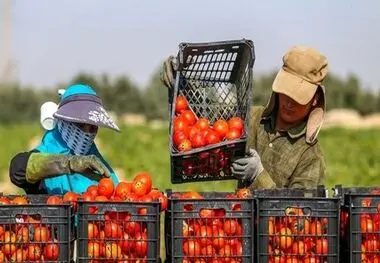 تحریم داخلی در کمین صادرات