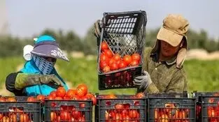 تحریم داخلی در کمین صادرات