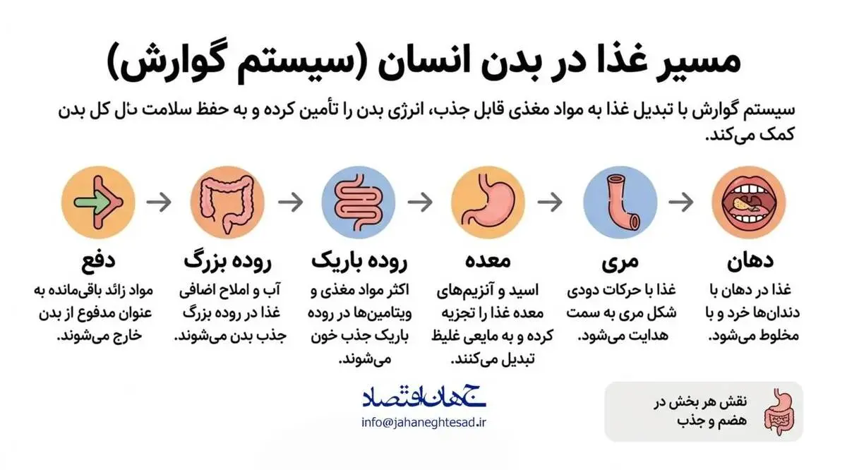 اینفوگرافی