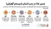 اینفوگرافی