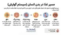 اینفوگرافی