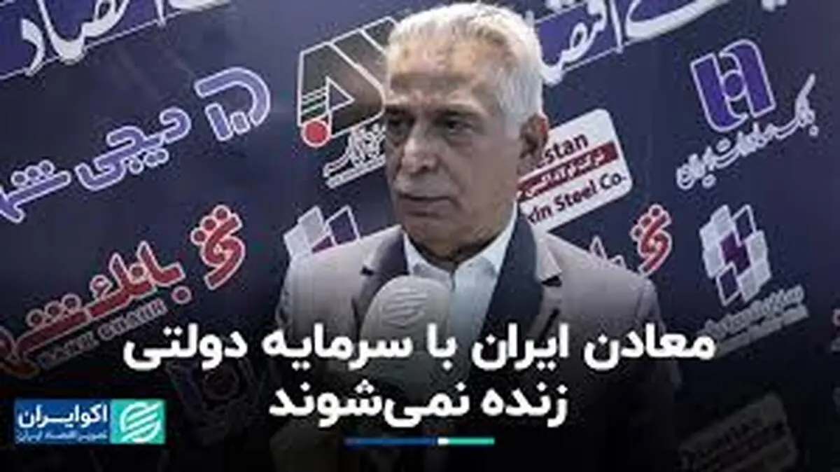 معادن ایران با سرمایه دولتی زنده نمی‌شوند

