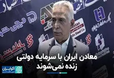 معادن ایران با سرمایه دولتی زنده نمی‌شوند

