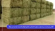 اقدامی ارزشمند در راستای مسئولیت اجتماعی: اهدای علوفه و گندم به حیات وحش خواف