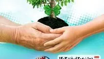 کاشت نهال بمناسبت روز درختکاری در شرکت فولاد اکسین خوزستان

