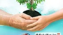 کاشت نهال بمناسبت روز درختکاری در شرکت فولاد اکسین خوزستان

