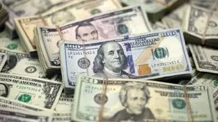 سود واقعی صندوق‌های ارزی چقدر است و آیا از خرید دلار بهترند؟
