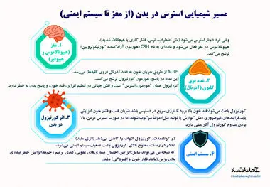 مسیر شیمیایی استرس در بدن