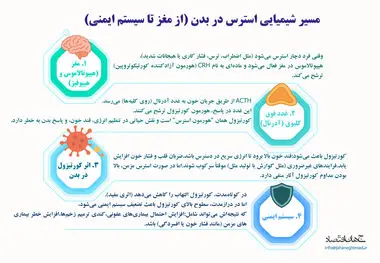 مسیر شیمیایی استرس در بدن