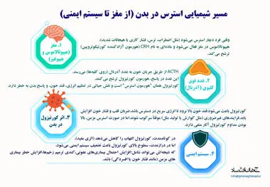 مسیر شیمیایی استرس در بدن