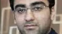 الگوی تنوع بخشی به اقتصاد

