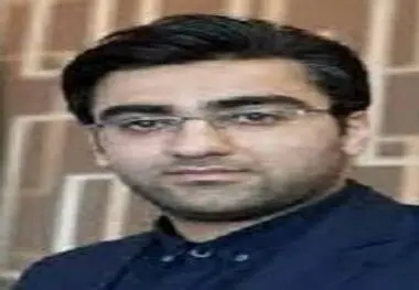 الگوی تنوع بخشی به اقتصاد
