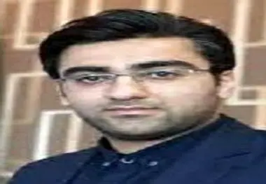 الگوی تنوع بخشی به اقتصاد
