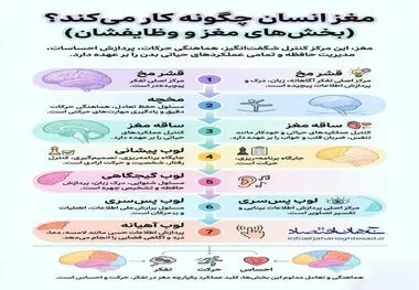 اینفوگرافی