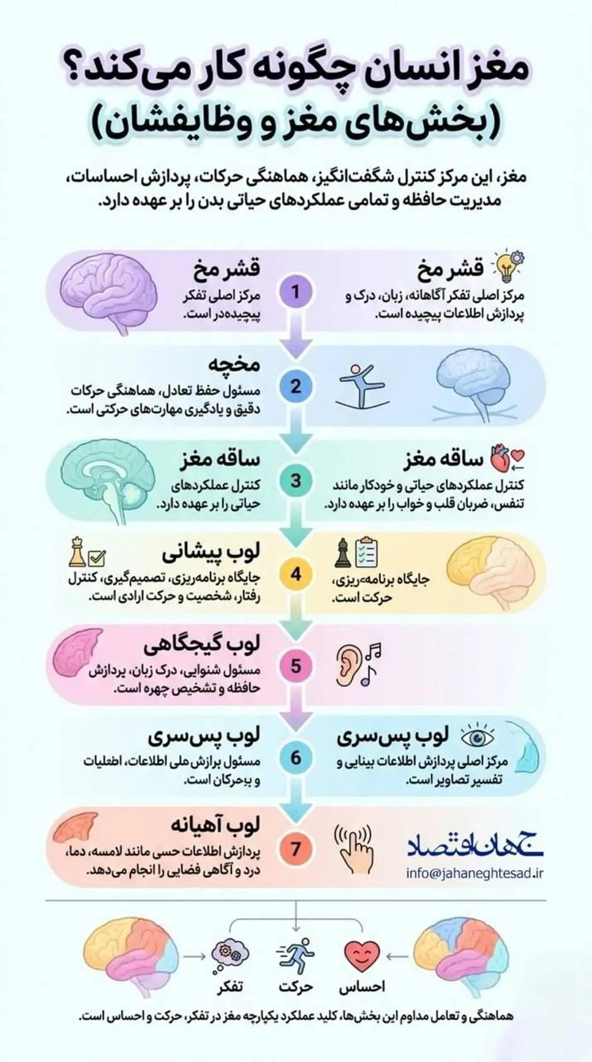 اینفوگرافی