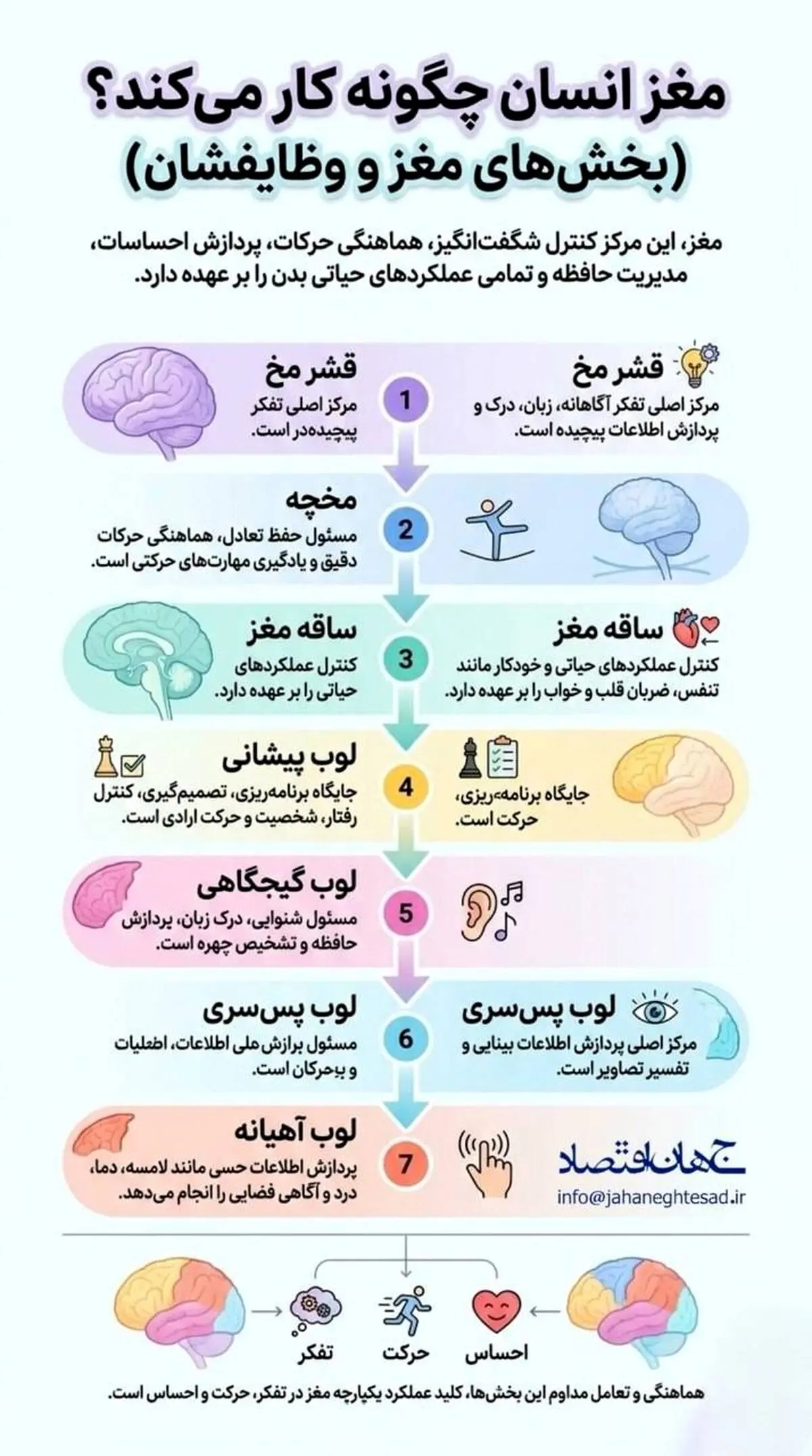 اینفوگرافی
