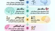 اینفوگرافی