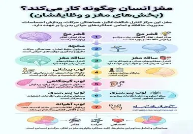 اینفوگرافی