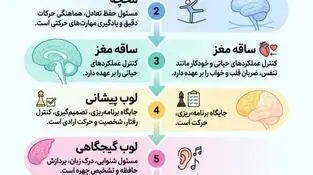 اینفوگرافی
