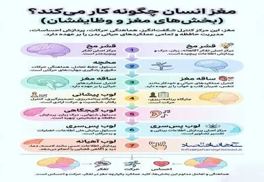اینفوگرافی