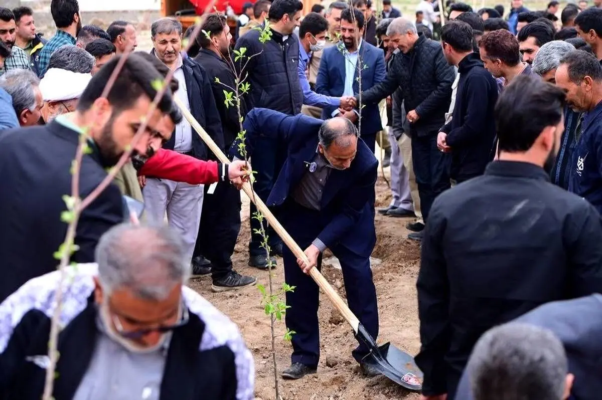 پویش کاشت ۱۵۳هزار نهال به یاد ۱۵۳ شهید مدرسه میناب آغاز شد