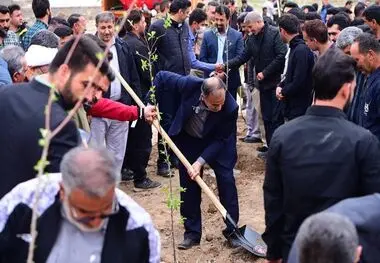 پویش کاشت ۱۵۳هزار نهال به یاد ۱۵۳ شهید مدرسه میناب آغاز شد