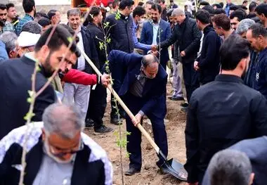 پویش کاشت ۱۵۳هزار نهال به یاد ۱۵۳ شهید مدرسه میناب آغاز شد