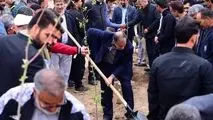 پویش کاشت ۱۵۳هزار نهال به یاد ۱۵۳ شهید مدرسه میناب آغاز شد