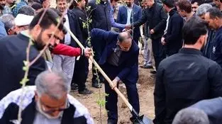 پویش کاشت ۱۵۳هزار نهال به یاد ۱۵۳ شهید مدرسه میناب آغاز شد