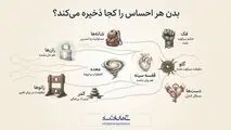 اینفوگرافی