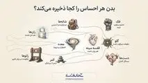اینفوگرافی