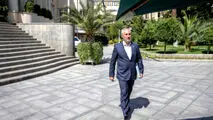پورمحمدی: تأمین منابع کالابرگ به بانک مرکزی واگذار شده است