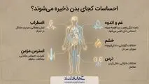 احساسات کجای بدن ذخیره میشوند؟
