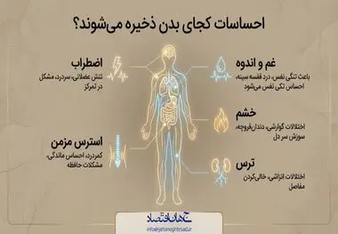 احساسات کجای بدن ذخیره میشوند؟