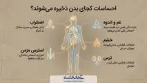 احساسات کجای بدن ذخیره میشوند؟