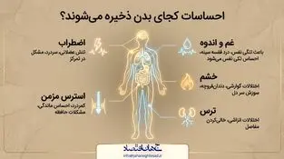 احساسات کجای بدن ذخیره میشوند؟