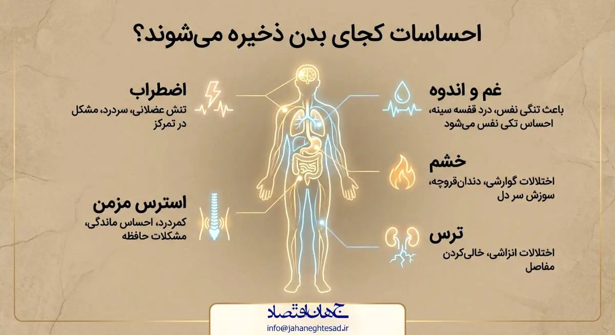 احساسات کجای بدن ذخیره میشوند؟