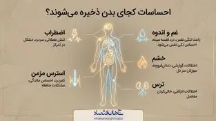 احساسات کجای بدن ذخیره میشوند؟