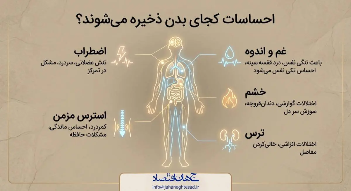 احساسات کجای بدن ذخیره میشوند؟