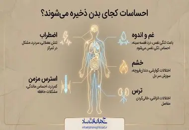 احساسات کجای بدن ذخیره میشوند؟
