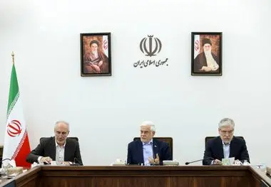 دکتر عارف: کشور به اقتدار علم و فناوری نیاز دارد/صندوق‌های حمایتی به پشتیبانی از فعالیت‌های حوزه علمی و فناوری ملزم شده‌اند/کارگروه‌هایی برای رسیدگی به وضعیت معیشتی اساتید تشکیل شده است