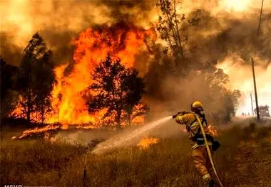 کمبود زیرساخت اطفای حریق در کمین جنگل‌ها