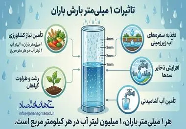 اینفوگرافی