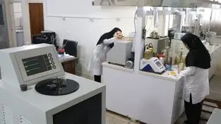 افتخاری تازه برای خانواده بزرگ فولاد هرمزگان؛ گوهر آزمای خلیج فارس، نخستین شرکت دانش‌بنیان شرکت‌های زیرمجموعه فولاد هرمزگان شد
