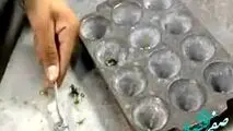 راه اندازی خط تولید نقره در کارخانه طلای زرشوران تکاب
