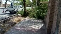 اقدامات جهادی برق شهداد برای ارتقاء ایمنی و پایداری شبکه؛ جابجایی تیرهای پرخطر اندوجرد و شاخه‌زنی با مشارکت شهرداری