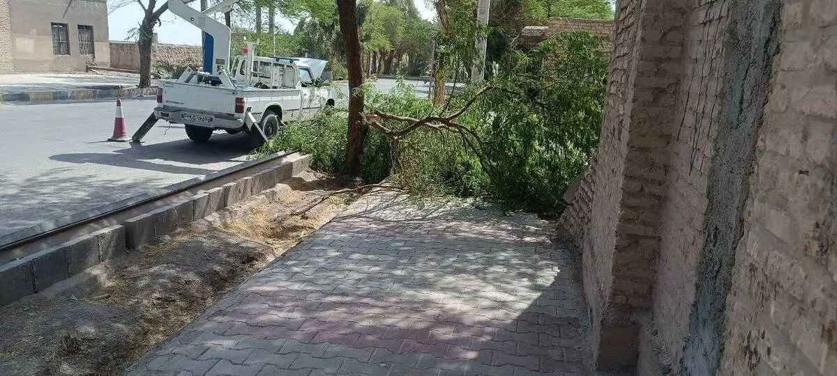 اقدامات جهادی برق شهداد برای ارتقاء ایمنی و پایداری شبکه؛ جابجایی تیرهای پرخطر اندوجرد و شاخه‌زنی با مشارکت شهرداری