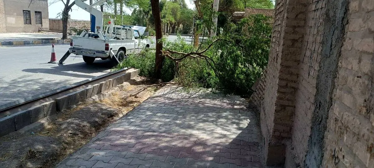 اقدامات جهادی برق شهداد برای ارتقاء ایمنی و پایداری شبکه؛ جابجایی تیرهای پرخطر اندوجرد و شاخه‌زنی با مشارکت شهرداری